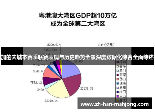 加的夫城本赛季联赛表现与历史趋势全景深度数据化综合全面综述